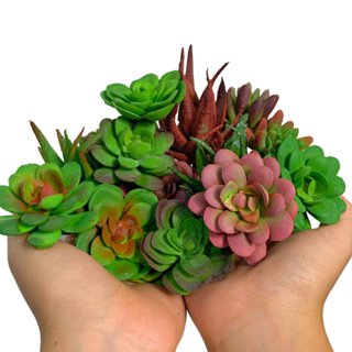 10 Suculentas Artificiais Decorativa Sortida para Arranjos