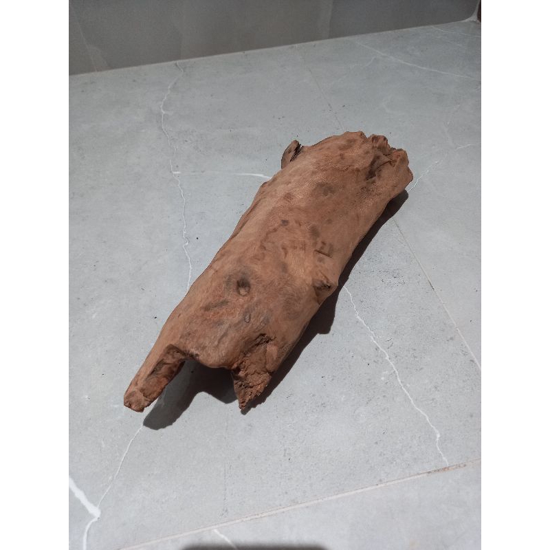 tronco para orquídeas,decoração,aquário(N12)