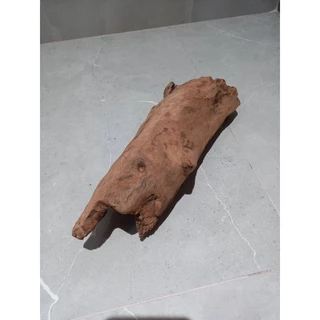 tronco para orquídeas,decoração,aquário(N12)