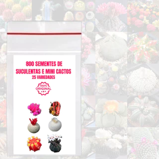 800 Sementes de Suculentas e Mini Cactos - T4