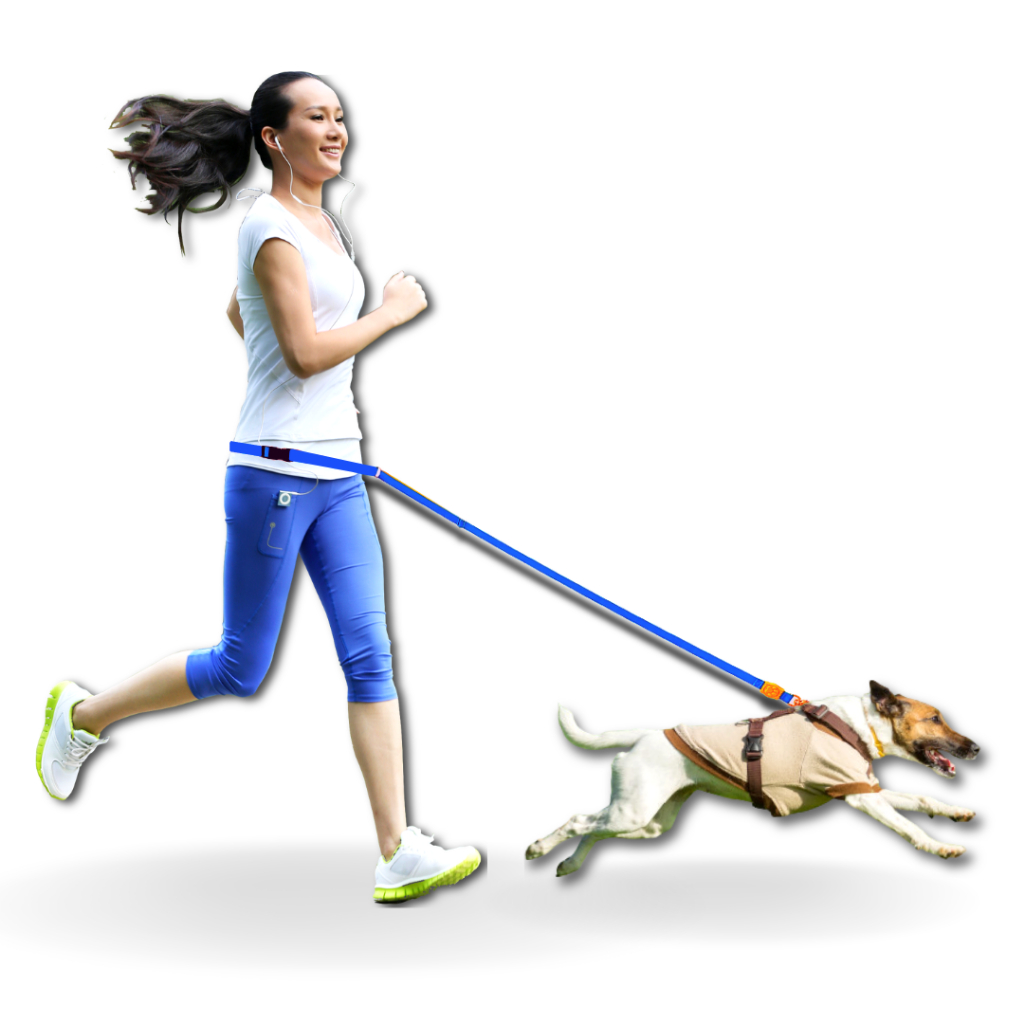 Guia Regulável Para Passear E Correr Com Seu Cachorro - Mãos livres ...