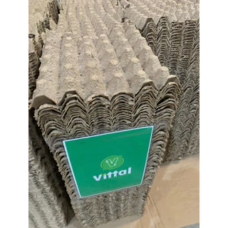 Cartela para Ovos Galinha Capacidade 30 Ovos Bandeja 100 Unidade