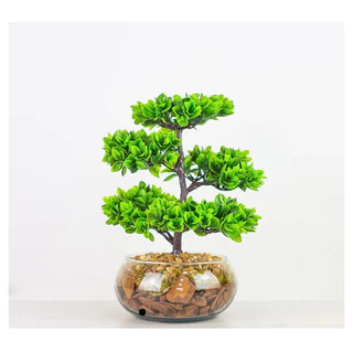 Árvore de Bonsai Arranjo Artificial em Vaso de Vidro Decoração Oriental