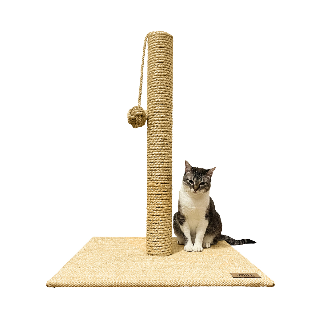 Poste Arranhador Gato 80cm Premium Resistente - MIUPETZ | Shopee Brasil