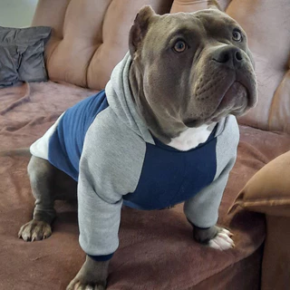 ROUPINHAS PET - DIVERSOS TAMANHOS - MOLETOM AZUL/CINZA