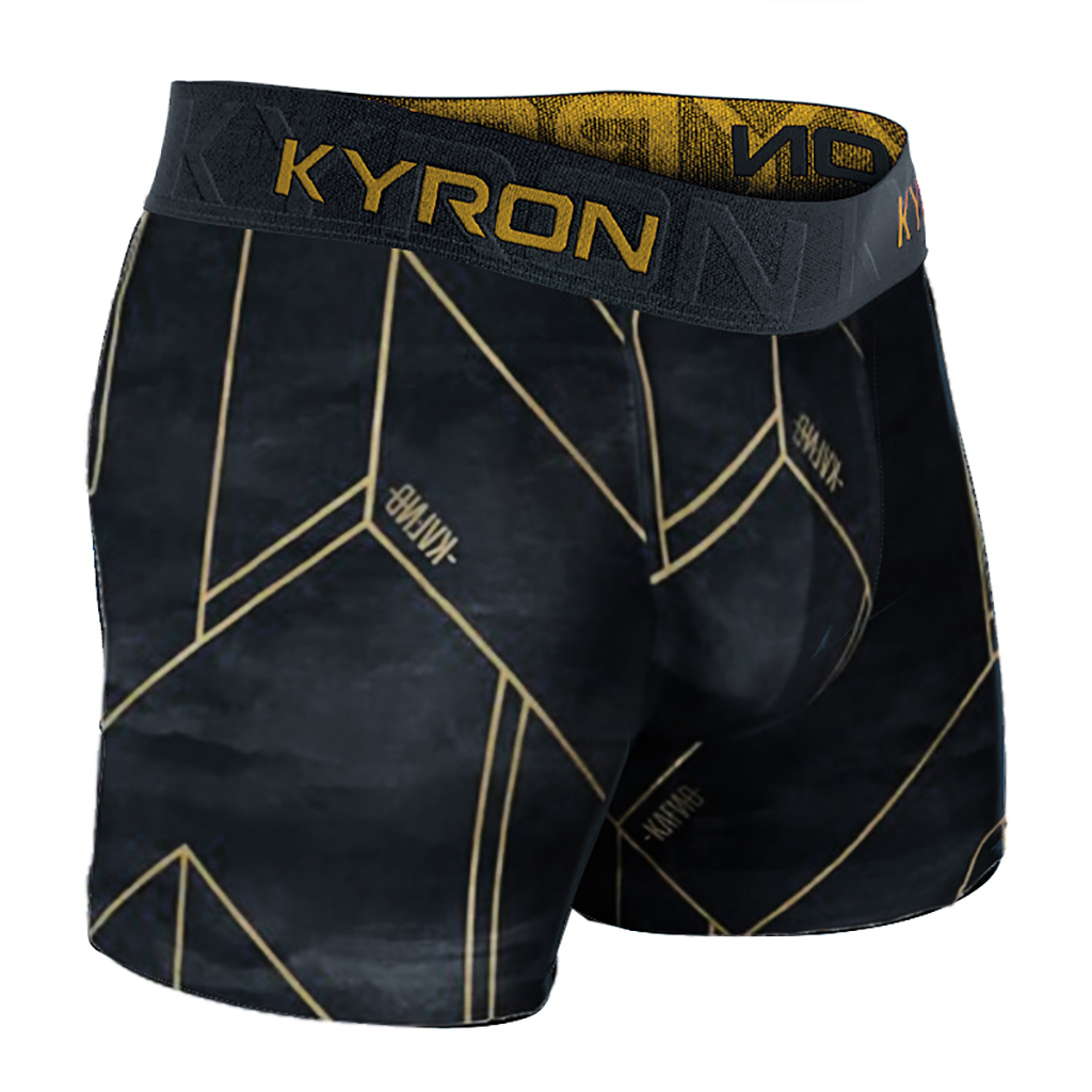 Kit 10 Cueca Box Cueca Boxer Ckyron Masculino Cuecas Microfibra