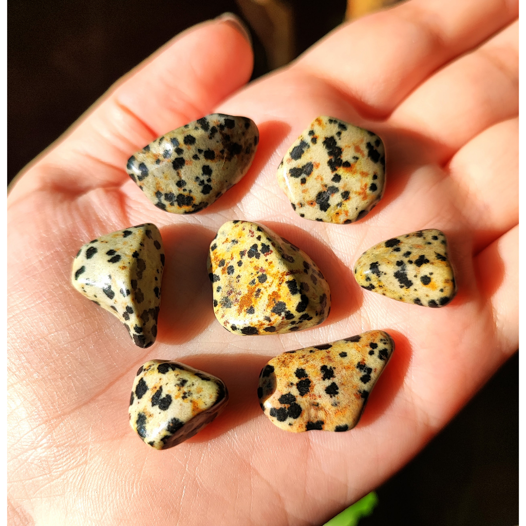 7un Jaspe Dálmata Kit Mini Pequeno Pedra Natural Rolada Criança ...