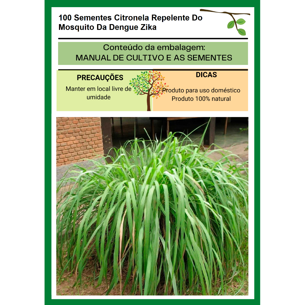 100 Sementes Citronela Repelente Mosquito Da Febre Amarela