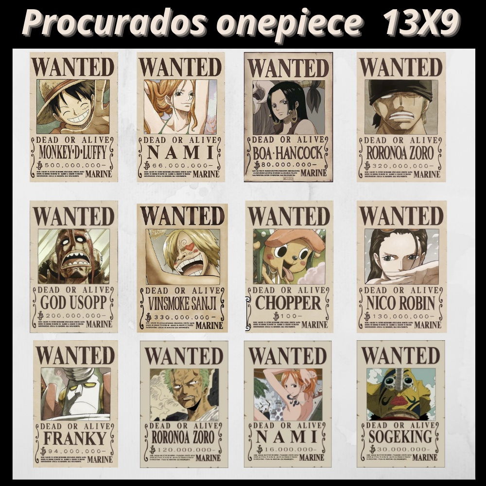 Placa Decorativa - One Piece Mapa Grand Line - Escorrega o Preço