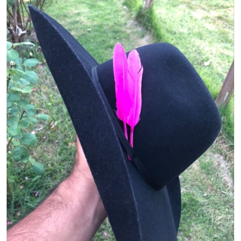 Pena para Chapéu Country