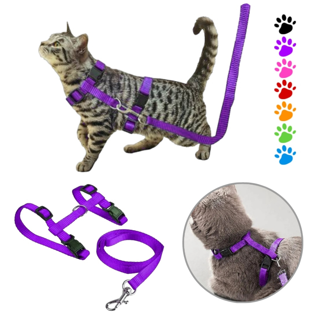 Coleira Peitoral Gato Gatinho Pet Acessorio Com Guia Top Ajustável