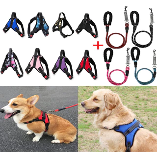 Kit Guia De Corda Reforçada Com Mola Amortercedora + Peitoral Coleira Com Regulagem Dupla Trava De Segurança Para Pet Cachorro P/M/G