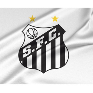 Bandeira Oficial do Sport 128 x 90 cm - 2 Panos