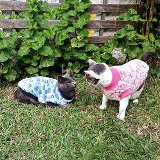 Roupa pet fleece de coração, roupa de frio para cachorro e gato, presente comemorativo