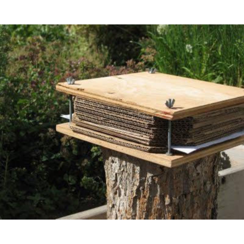 Prensa De Flores Extragrande De Madera – Kit De 27,5 Cm Con 10 Capas, Bolsa De Almacenaje Y Herramientas Incluidas, Regalo Para Amantes Del Arte Y Manualidades