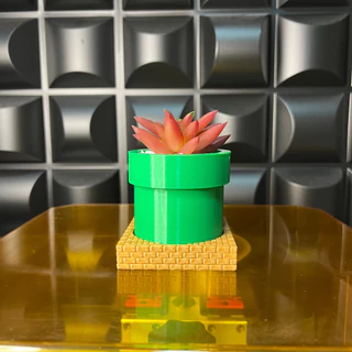Vaso Suculentas - Tubo Mario