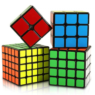 Cubo Mágico Profissional MOYU 3x3x3 4x4x4 2x2x2