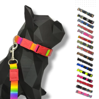 Conjunto coleira com regulagem para cachorro cão e guia pet segura resistente todas as raças