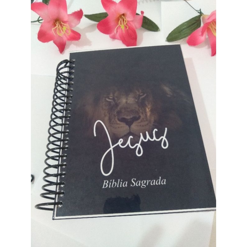 BIBLIA SAGRADA | Shopee Brasil