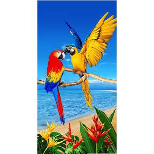 Quadro Pássaro Araras Coloridas 70x50 Sala Quarto | Shopee Brasil