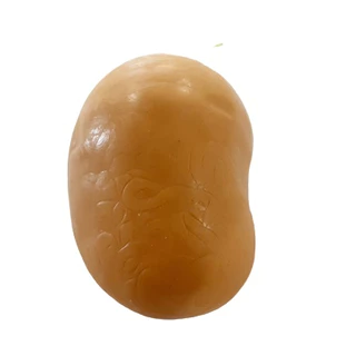 Brinquedo Para Pet Bola Batata Maluca Pula Pula