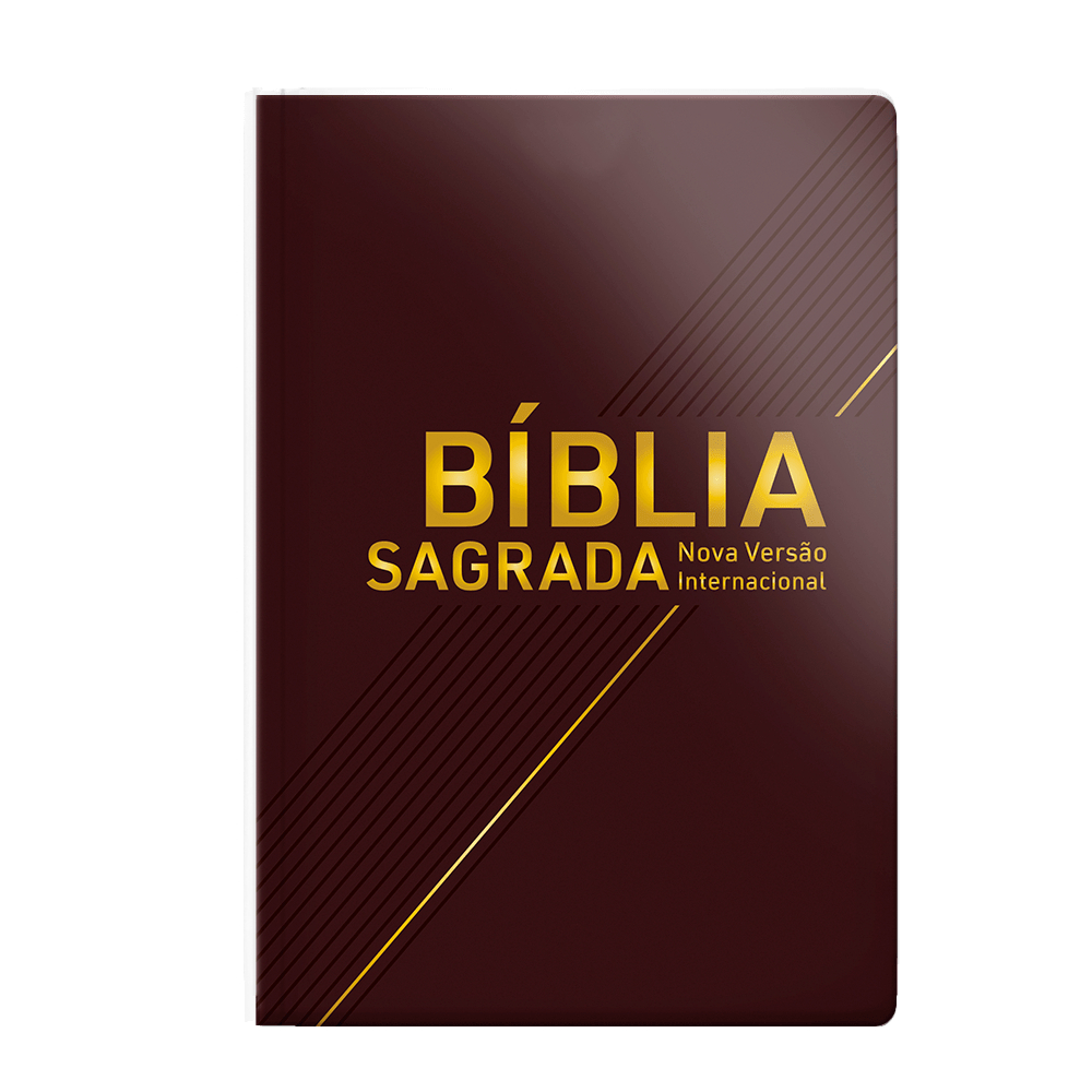 Biblia NVI Letra Grande Vinho Luxo | Shopee Brasil