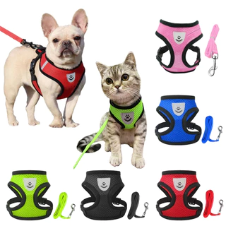 Coleira Para Cachorro E Gato Colete Peitoral Refletivo Cães Pets Gatos + Guia 1,10 Metros