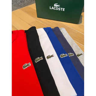 Camisa Masculina Básica Malha 40.1 Algodão com Elastano Premium