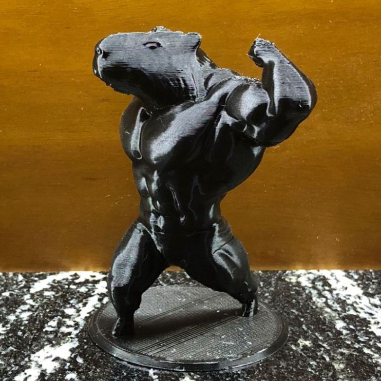 capivara Bodybuilder impressora 3d | Shopee Brasil