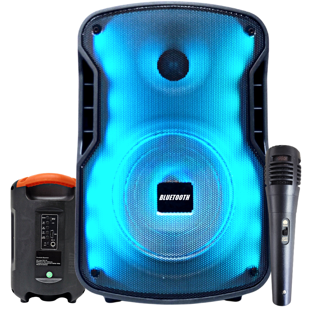 Caixa de Som com Microfone P10 1000W Grande Potencia Alto Portatil