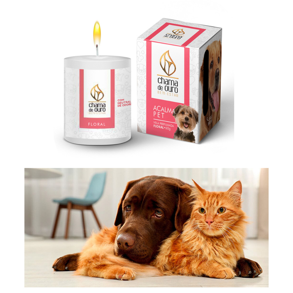 Vela Aromática Decorativa Acalma Pet Cães Gatos Floral Perfumada Aromaterapia