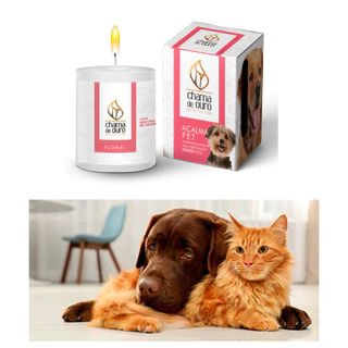 Vela Aromática Decorativa Acalma Pet Cães Gatos Floral Perfumada Aromaterapia
