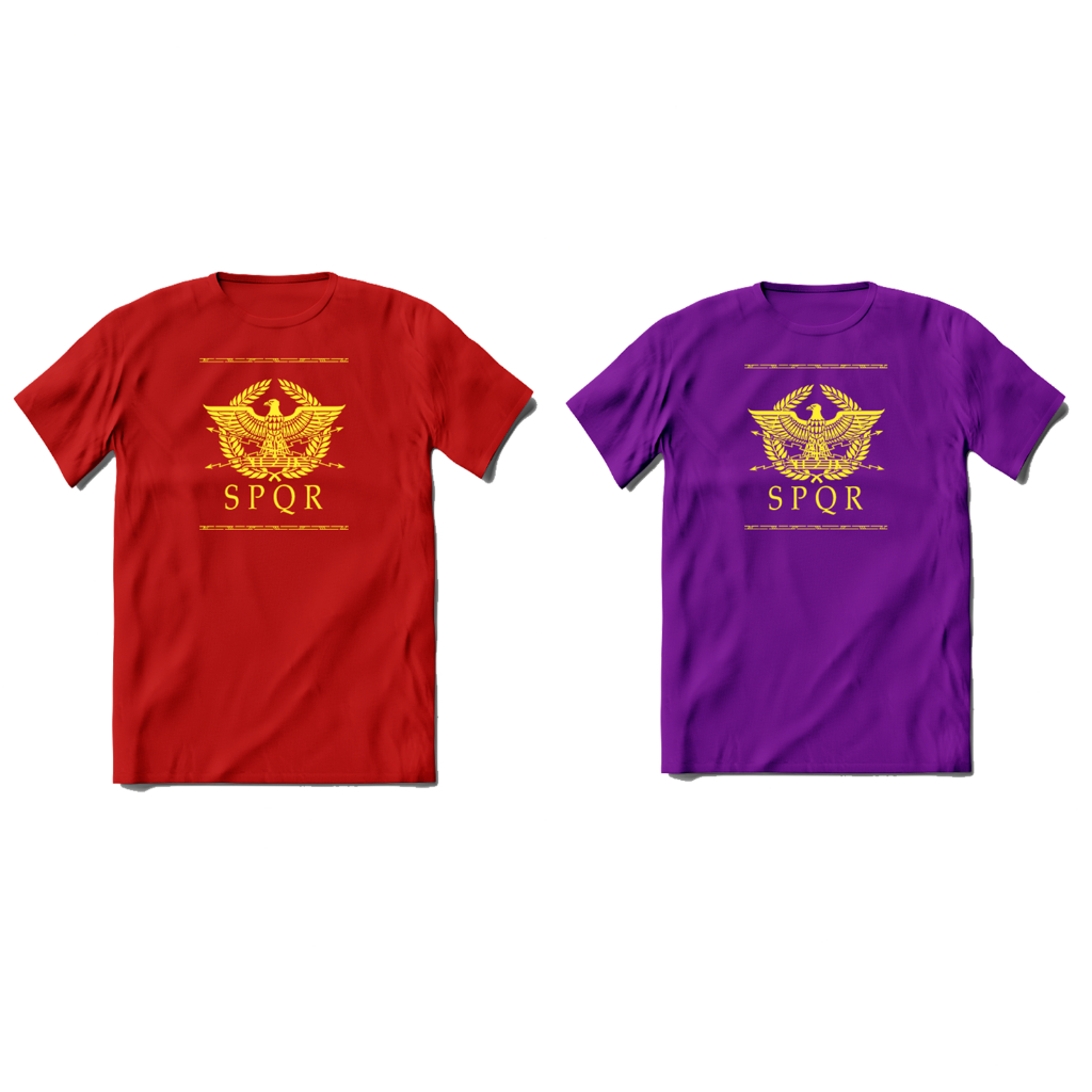 Camisetas De Los Romanos Camiseta SPQR Imperio Romano - Diseño Histórico  Para Amantes De La Antigua Roma Camisetas Del Imperio Romano, image size:1024x1024