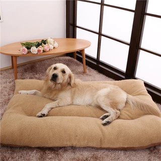 Caminha Pet Cama para Cachorro Grande Porte XG 1,20m x 1,00m Colchonete com Zíper Várias Cores