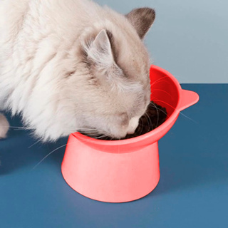 Combo Com 2 Comedouro Bebedouro Elevado Gatos Cachorros Ergonômico Postura Correta Lindo