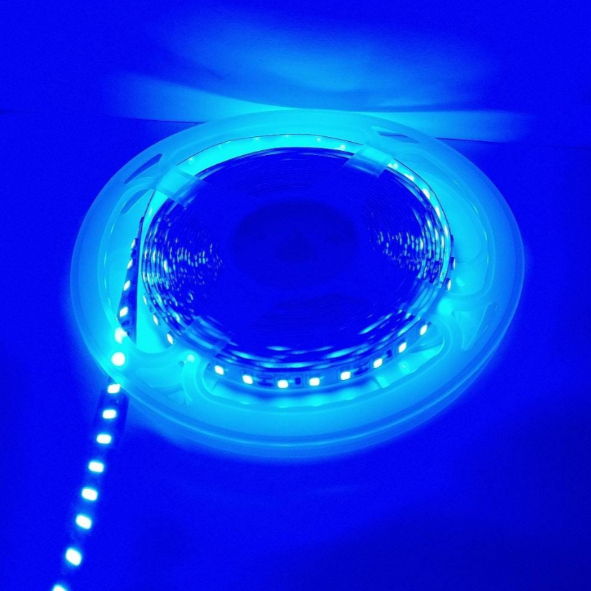 Luminario Fita Super Led 2835 5m 120 Smd/m 12v Ip20 Alto De Brilho Azul Escuro