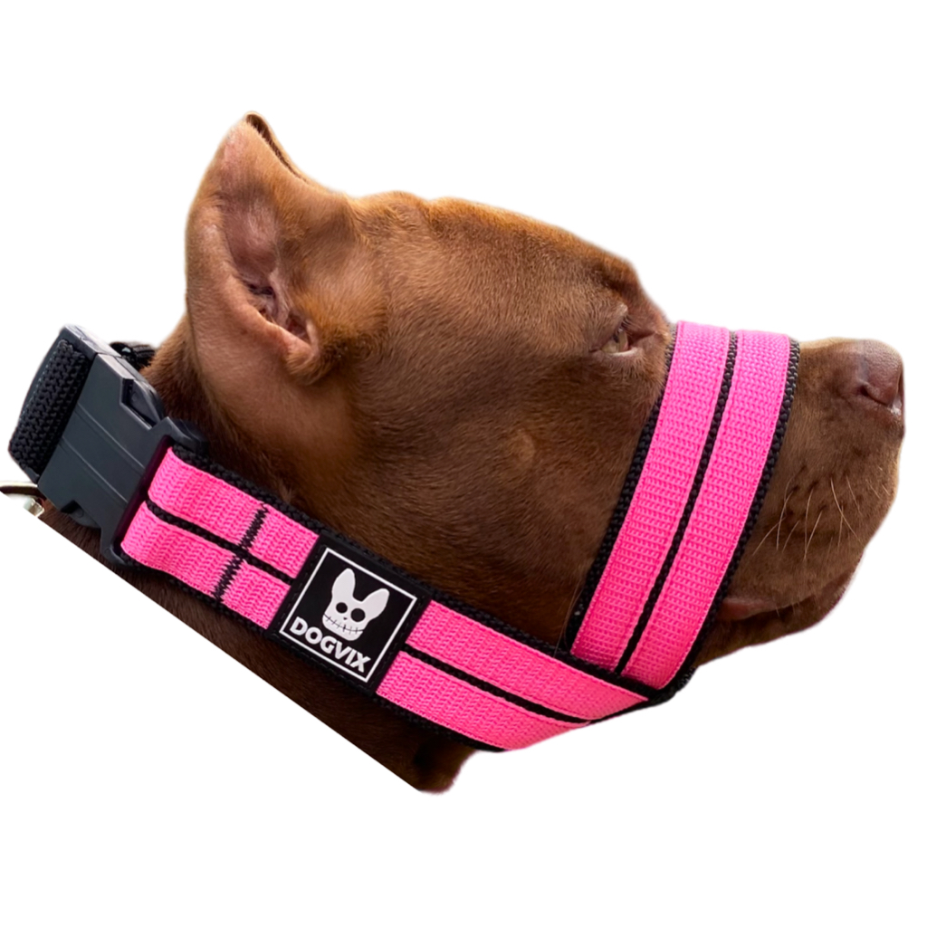 Focinheira Pet Ajustável Para Cães Pitbull Regulável Confortável ...
