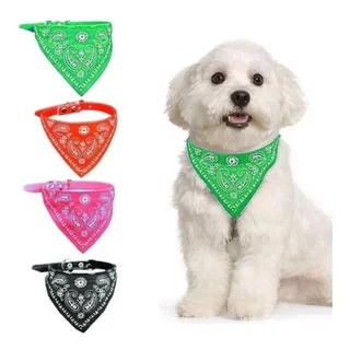 Coleira para Cachorro e Gato com Bandana