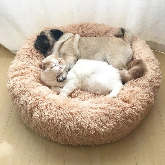 Caminha Pet Nuvem Redonda - Cachorros E Gatos Tamanho GG 80cm