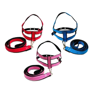 Coleira Peitoral Duplo Nylon com guia Pet para Cão Cachorro