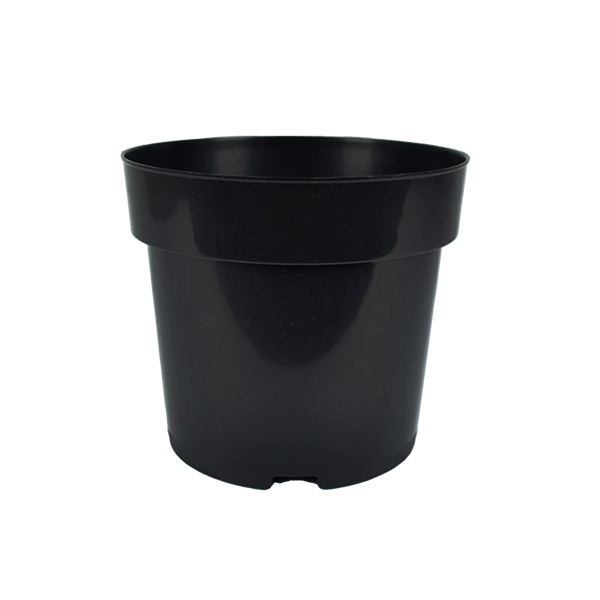 Kit 15 Potes 17 Liso na cor Preta