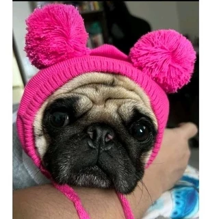 Touca gorro pet para cães e gatos tam.PP.P.M.G.GG.