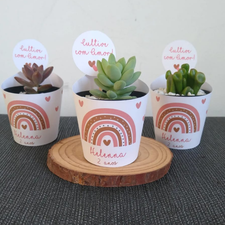Rótulos Suculentas + Tag - Arco íris - 30 unidades