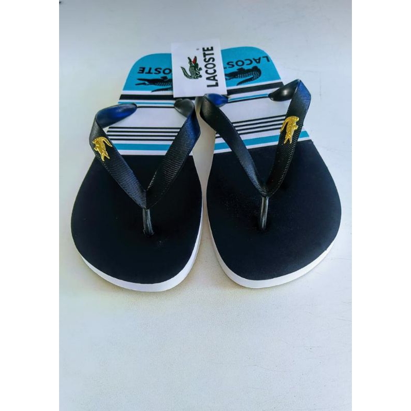 Chinelo Masculino Adulto Varias Estampas Promoção