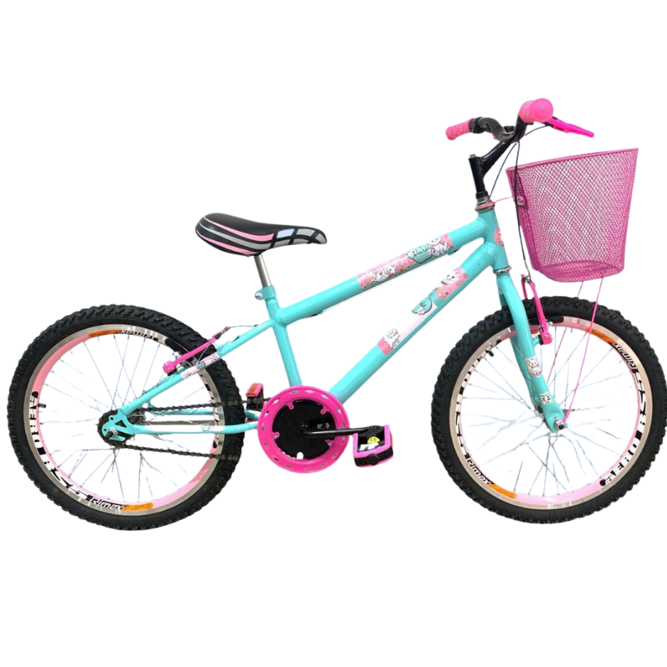 Bicicleta Criança Infantil Menina Aro 20 Feminina Com Cesta E Aros ...