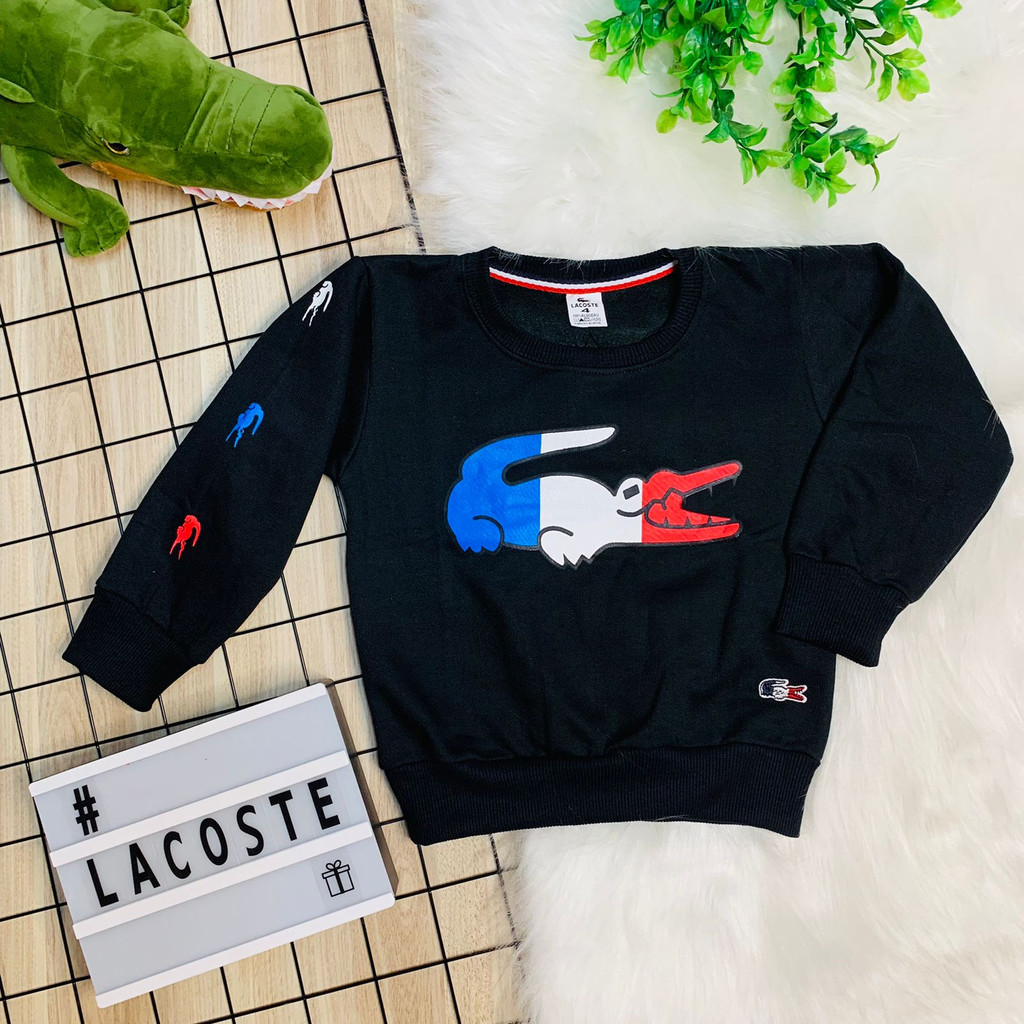 Blusa Moletom Menino Infantil Frio Kids Flanelado Masculino Criança ...