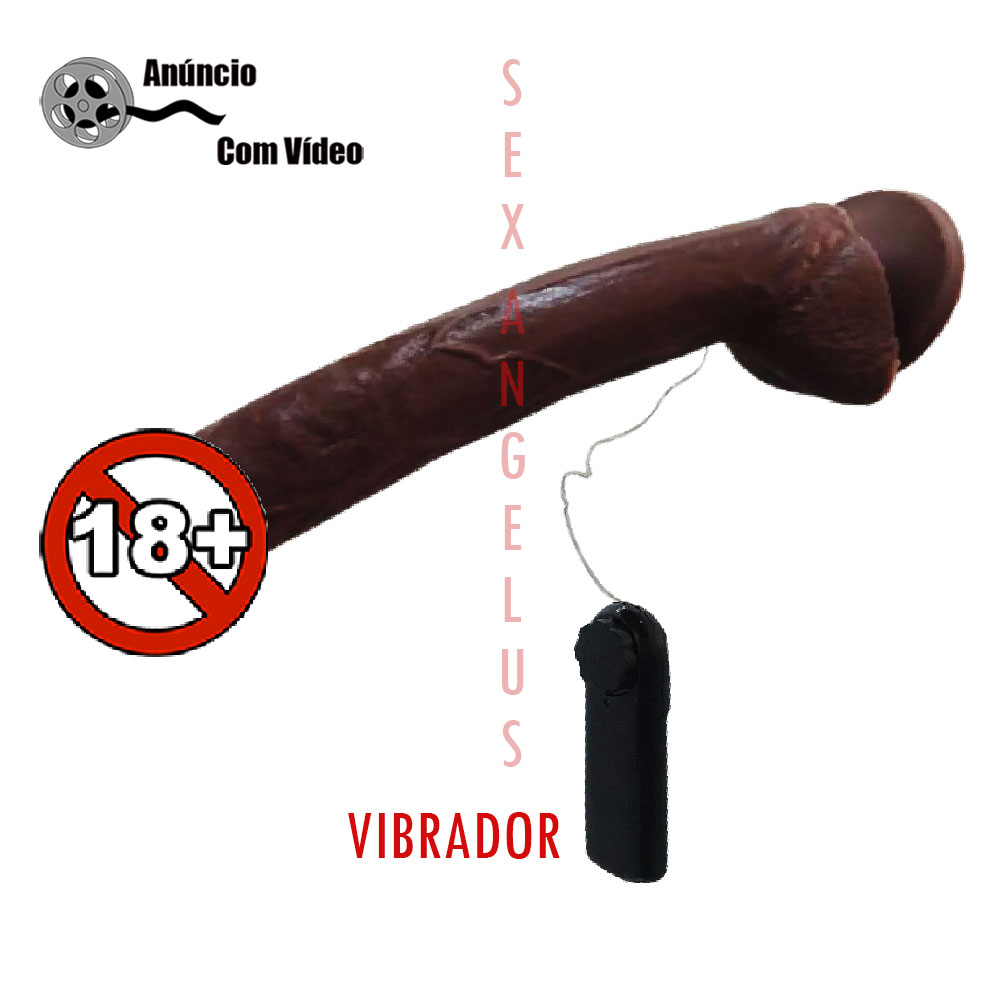 Pinto vibrador