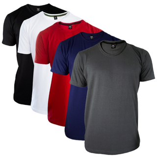 Kit 5 Camiseta Masculina Lisa Basica Academia 30.1 Promoção Sortida Promoção