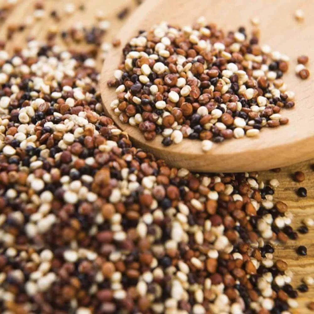 Quinoa Mix (Branco, Preto e Vermelho) kg