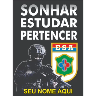 Quadro decorativo personalizado motivacional ESA